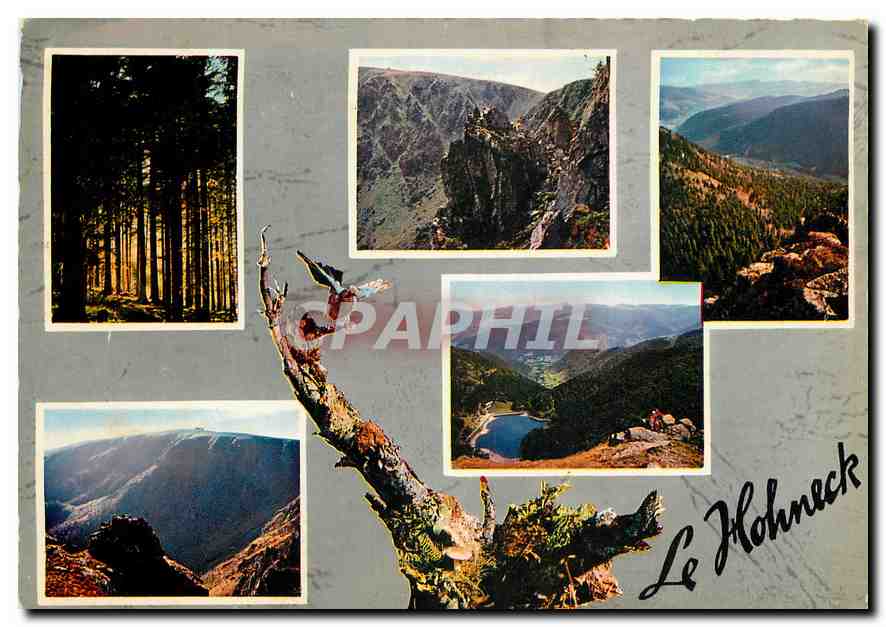 CPM Les Hautes Vosges Massif du Hohneck 