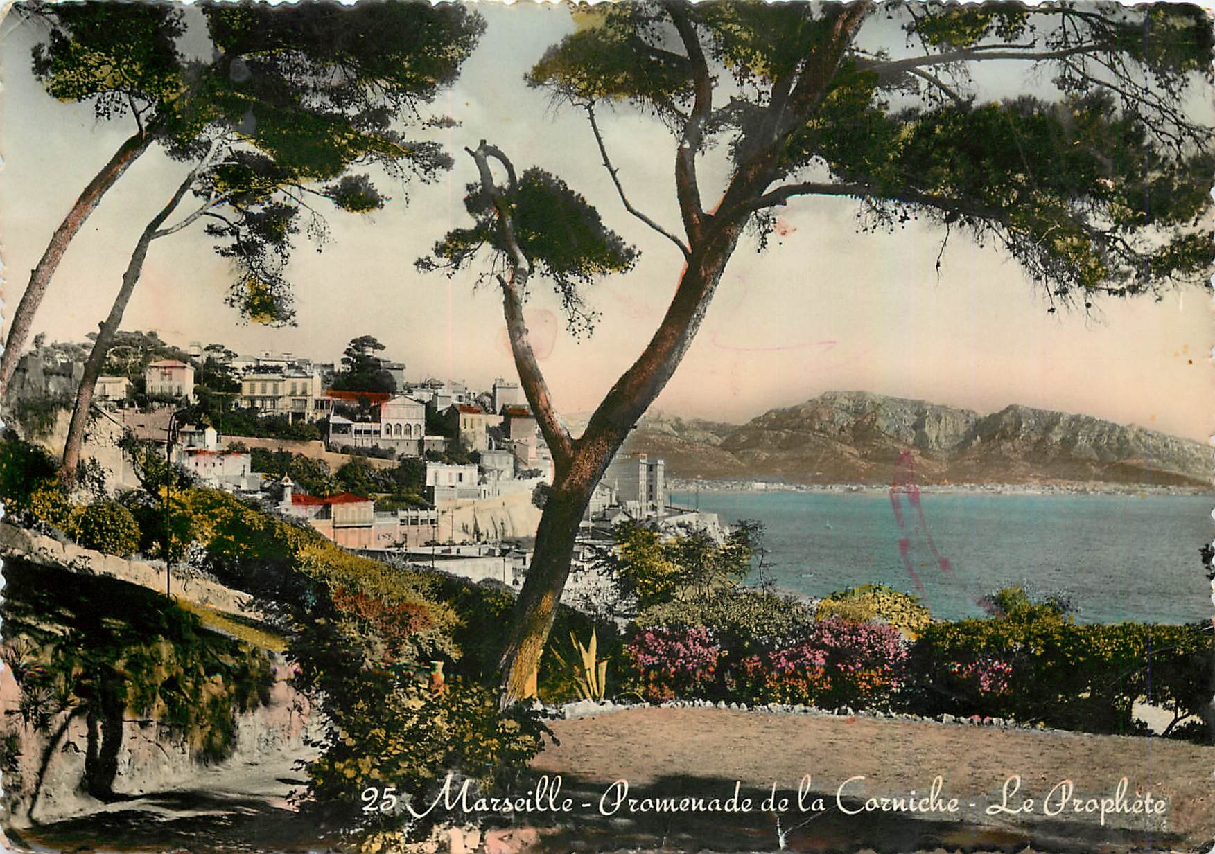 CPM Marseille Promenade de la Corniche Le Prophete 
