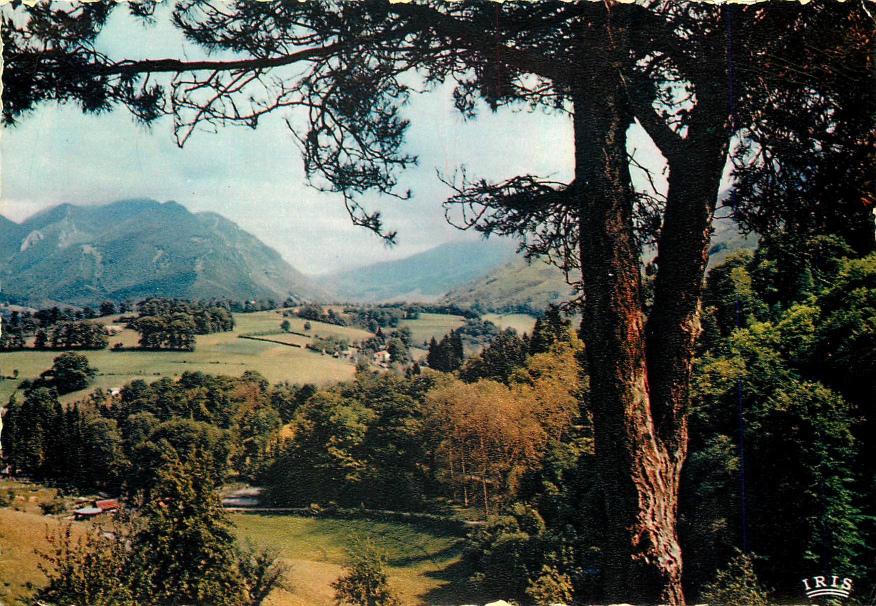CPM Bagneres de Bigorre 
