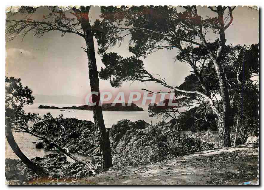 CPM Saint Raphael Var Le Lion de Terre vu du Parc 