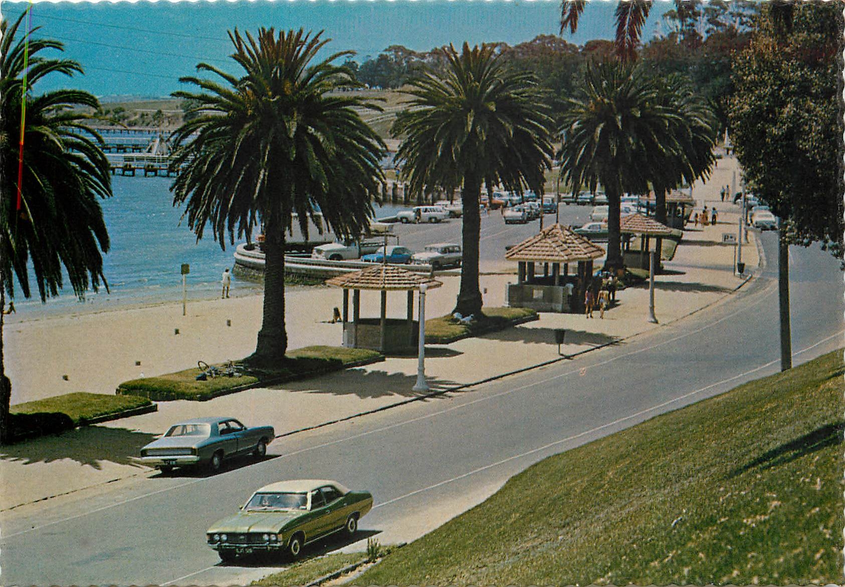 CPM Geelong Victoria The stately palms of Ritchie Boulevard at Eastern Beach 