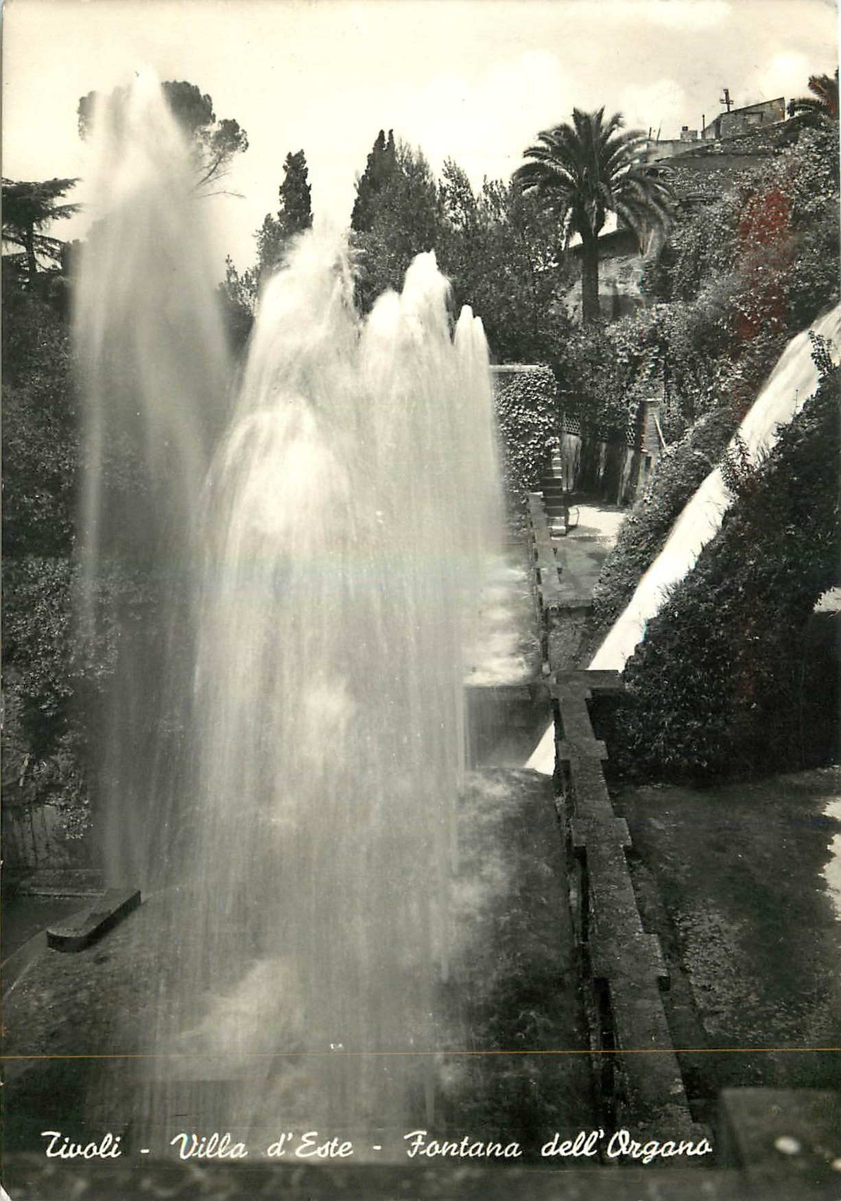 CPM Tivoli Villa d'Este The Organ's Fountain 