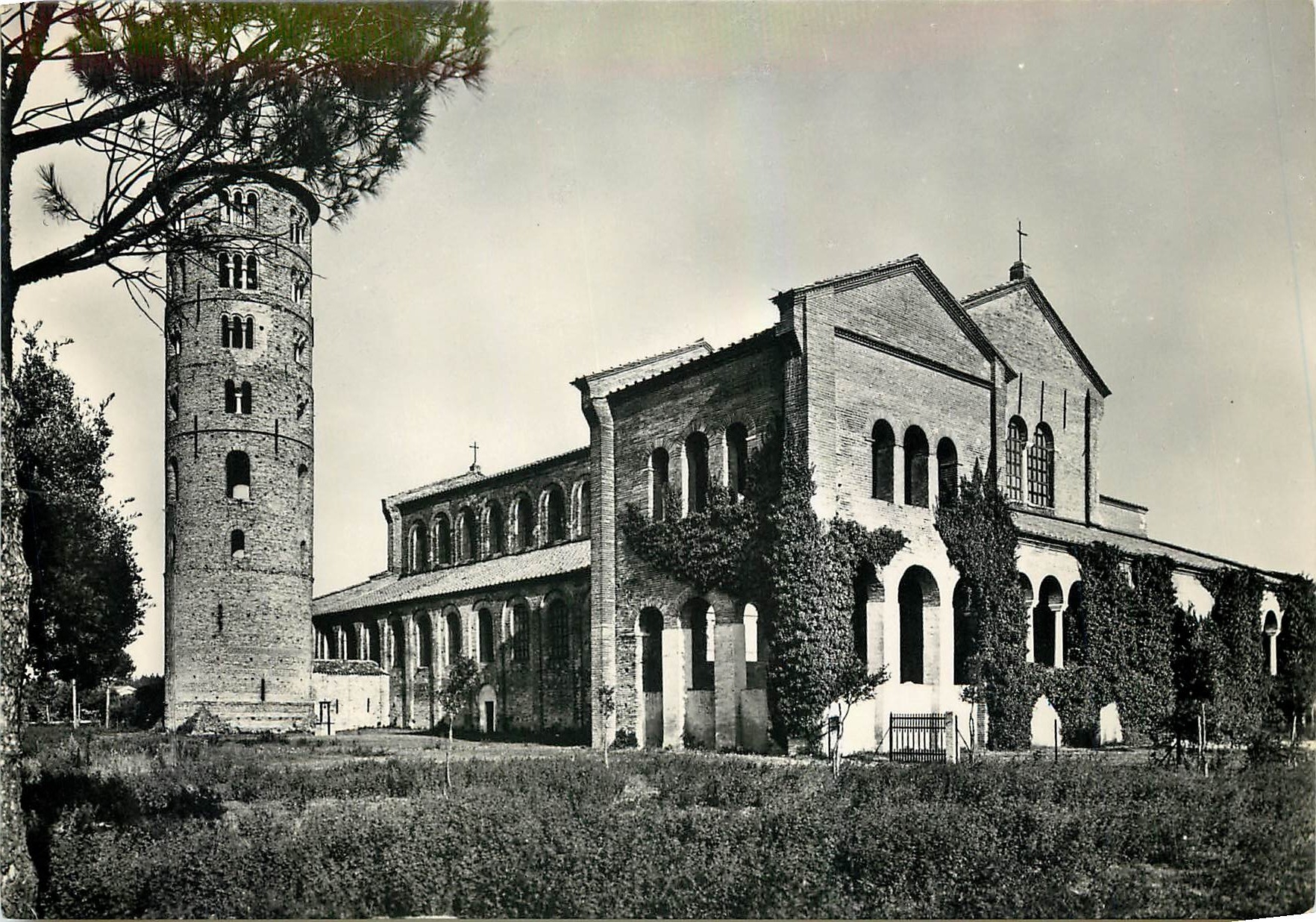 CPM Ravenna S Apolinaire in Classe 