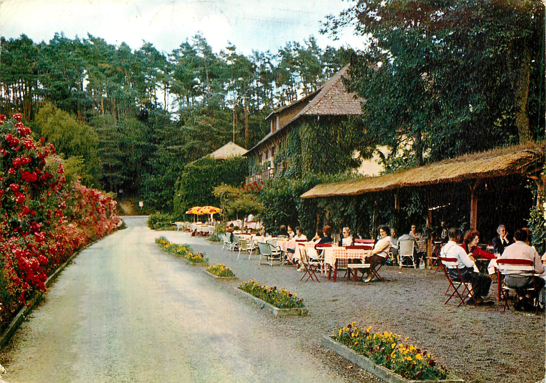 CPM Environs de Bagnoles de l'Orne Vallee de la Cour La Terrasse et le Restaurant 