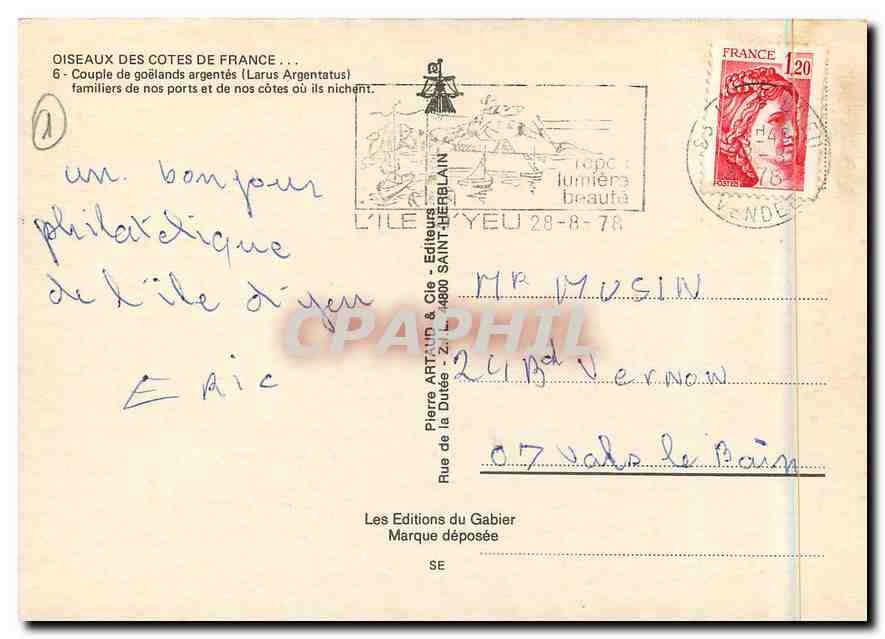 CPM Oiseaux des Cotes de France Couple de Goelands Argentes  — Rückseite