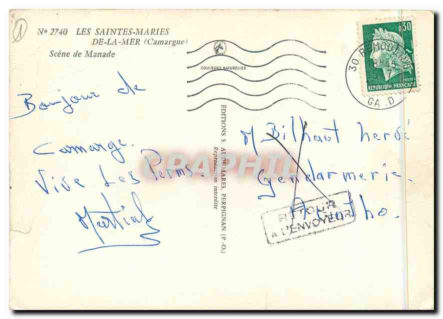 CPM Les Saintes Maries de la Mer Camargue Scene de Manade  — Verso