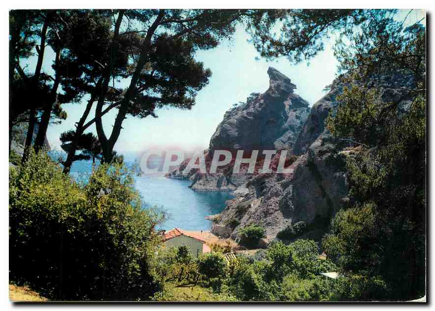 CPM Cote d'Azur La Ciotat B du R 