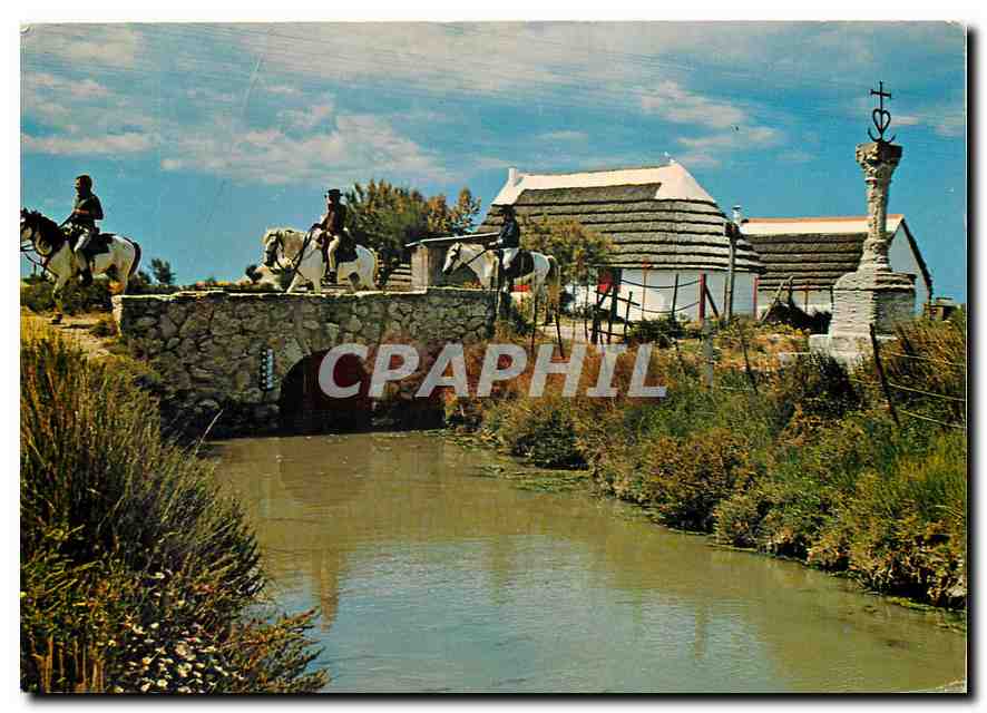 CPM En Camargue (B du Rh) Pont du Mort canabes et la croix des Gardions