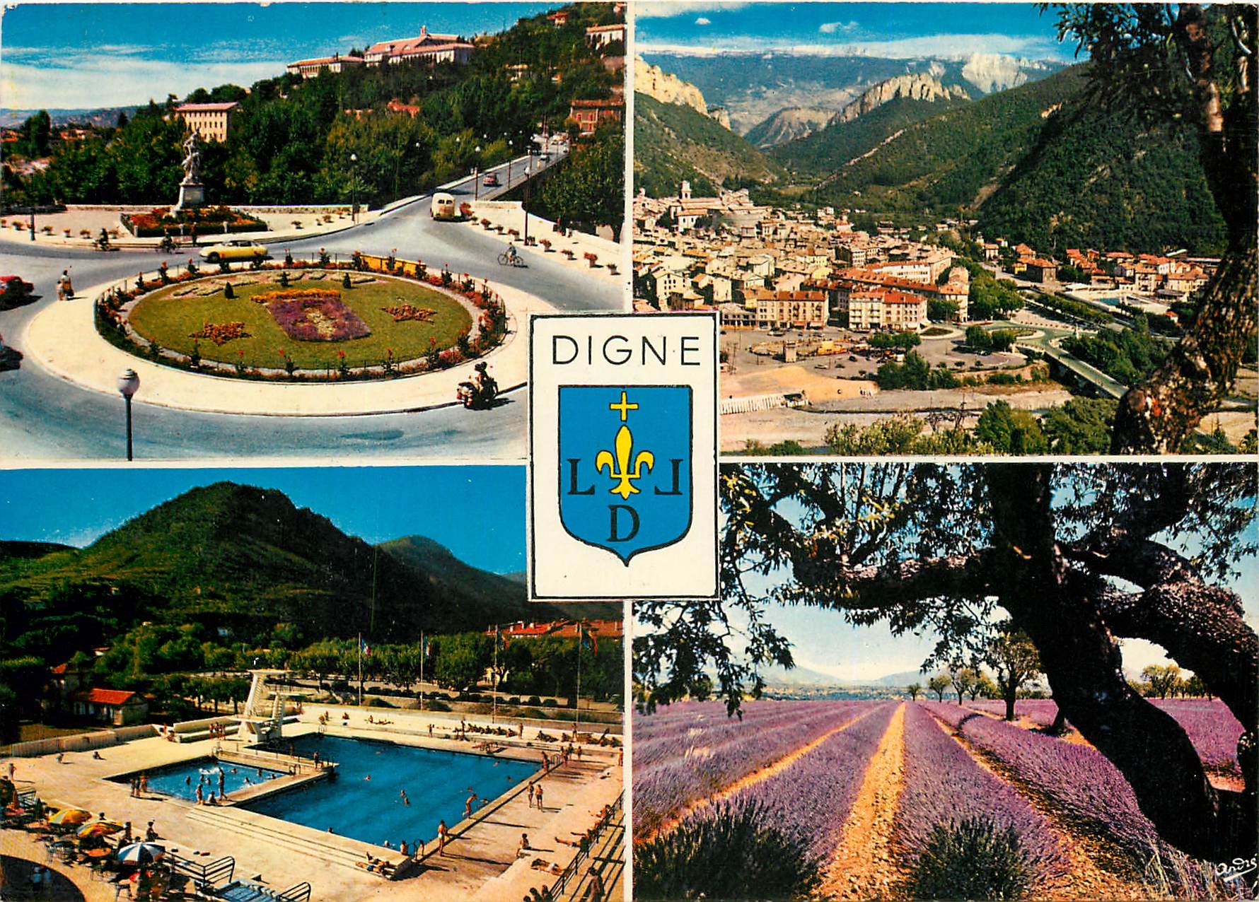 CPM Digne (B A) alt 608 m vue generale Rond point Piscine champ de lavande