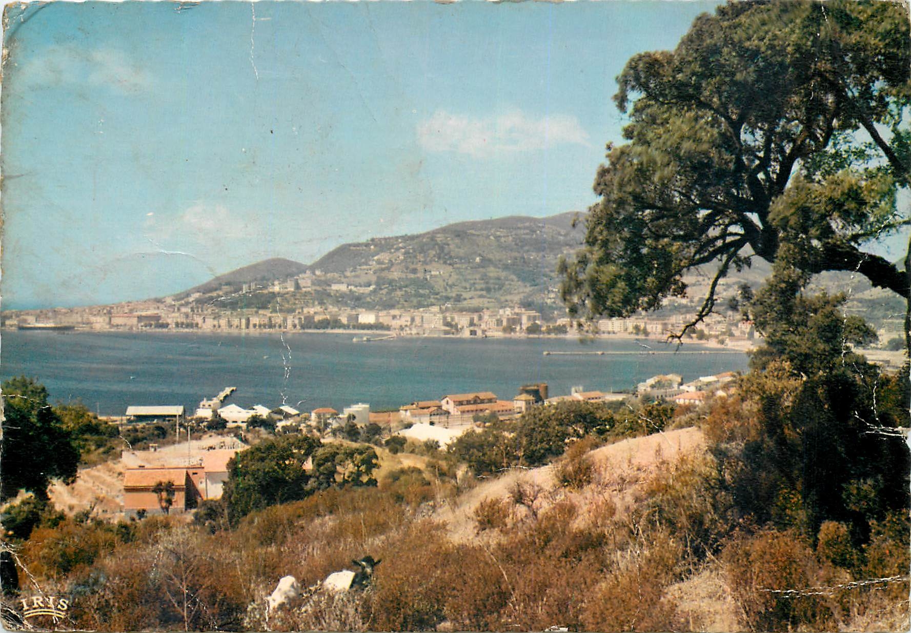 CPM Charmes et couleurs de la Corse Ajaccio prise d'Aspreto vue generale de la ville