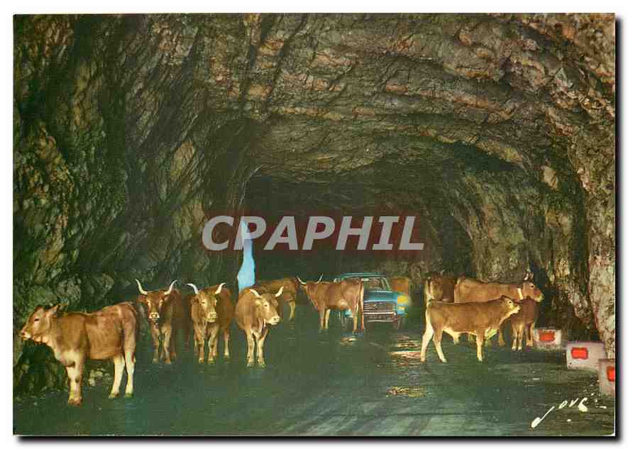 CPM Route du Col d'Aubisque Corrida en station dans le tunnel