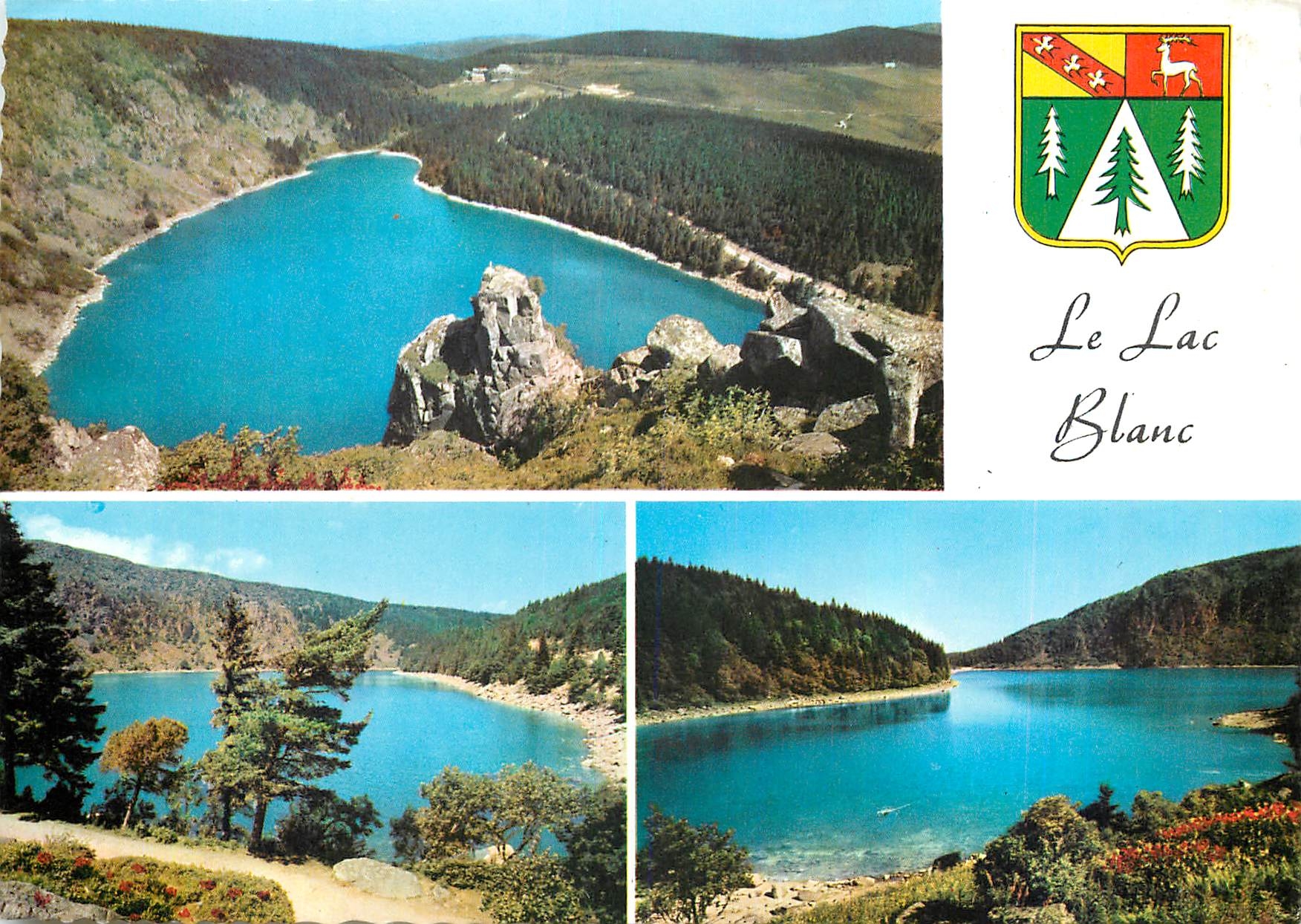 CPM Les Hautes Vosges Le Lac Blanc (Alt 1054 m)