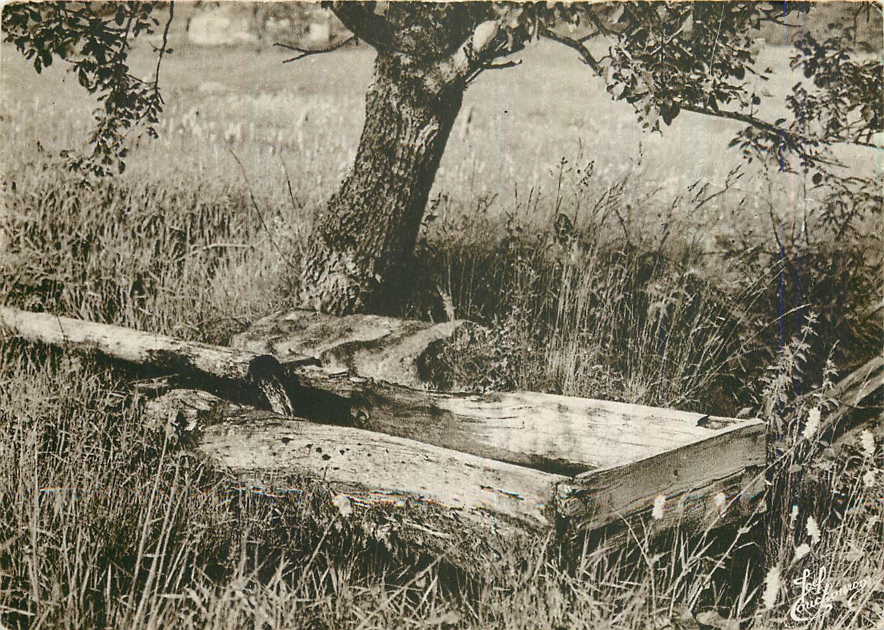 CPM Les Vosges Le Bassin en Bois