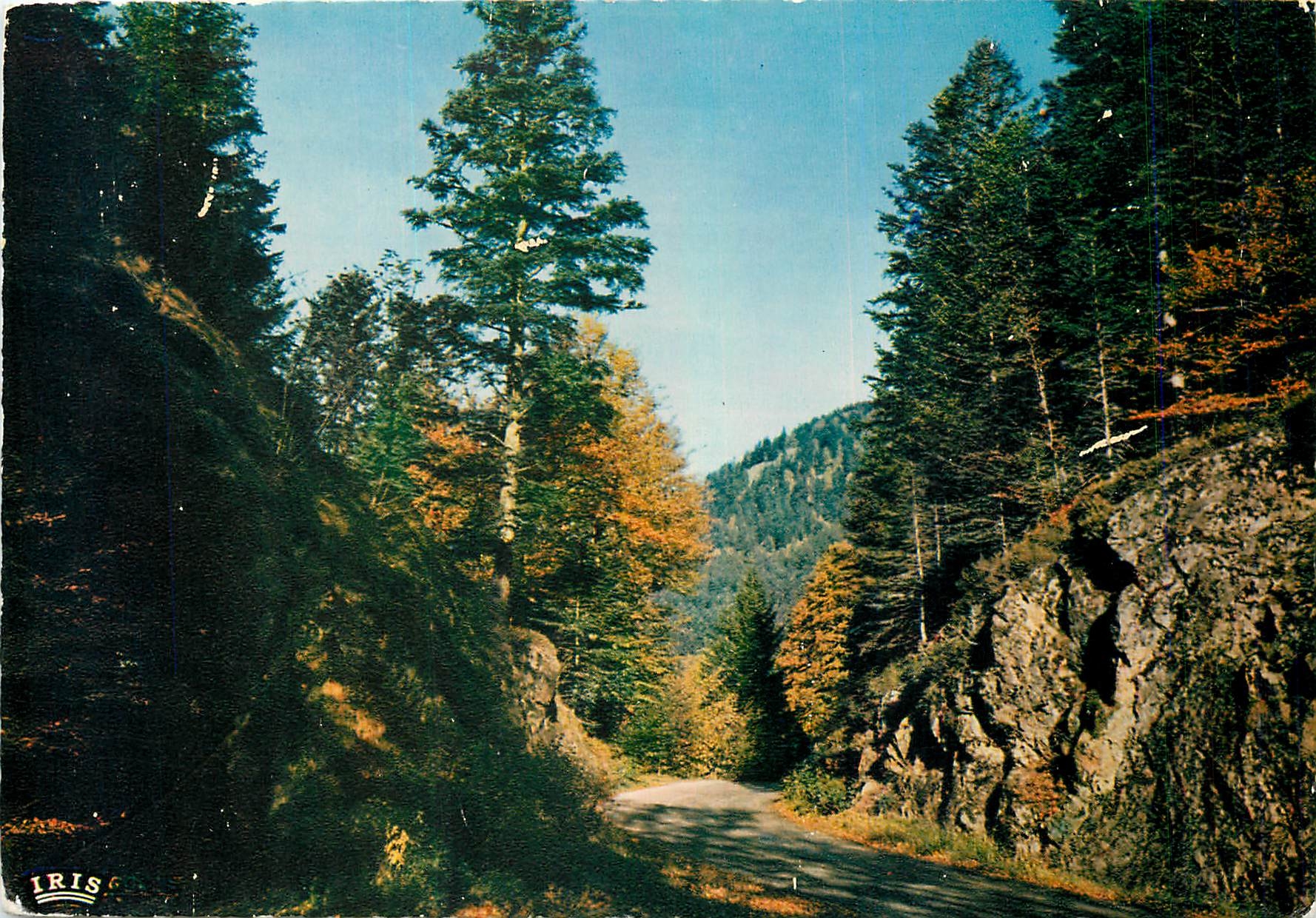 CPM Les Vosges Pittoresques la route de Retournemer a Longmer en automne