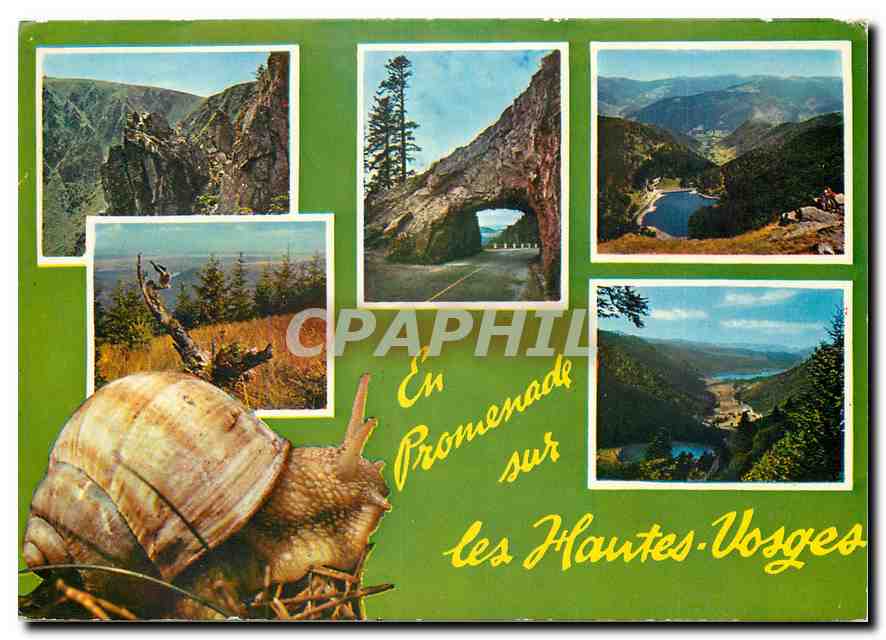 CPM En Promenade sur les Hautes Vosges Escargot