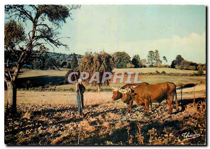 CPM La Haute vienne Pittorresque Attelage Limousin 