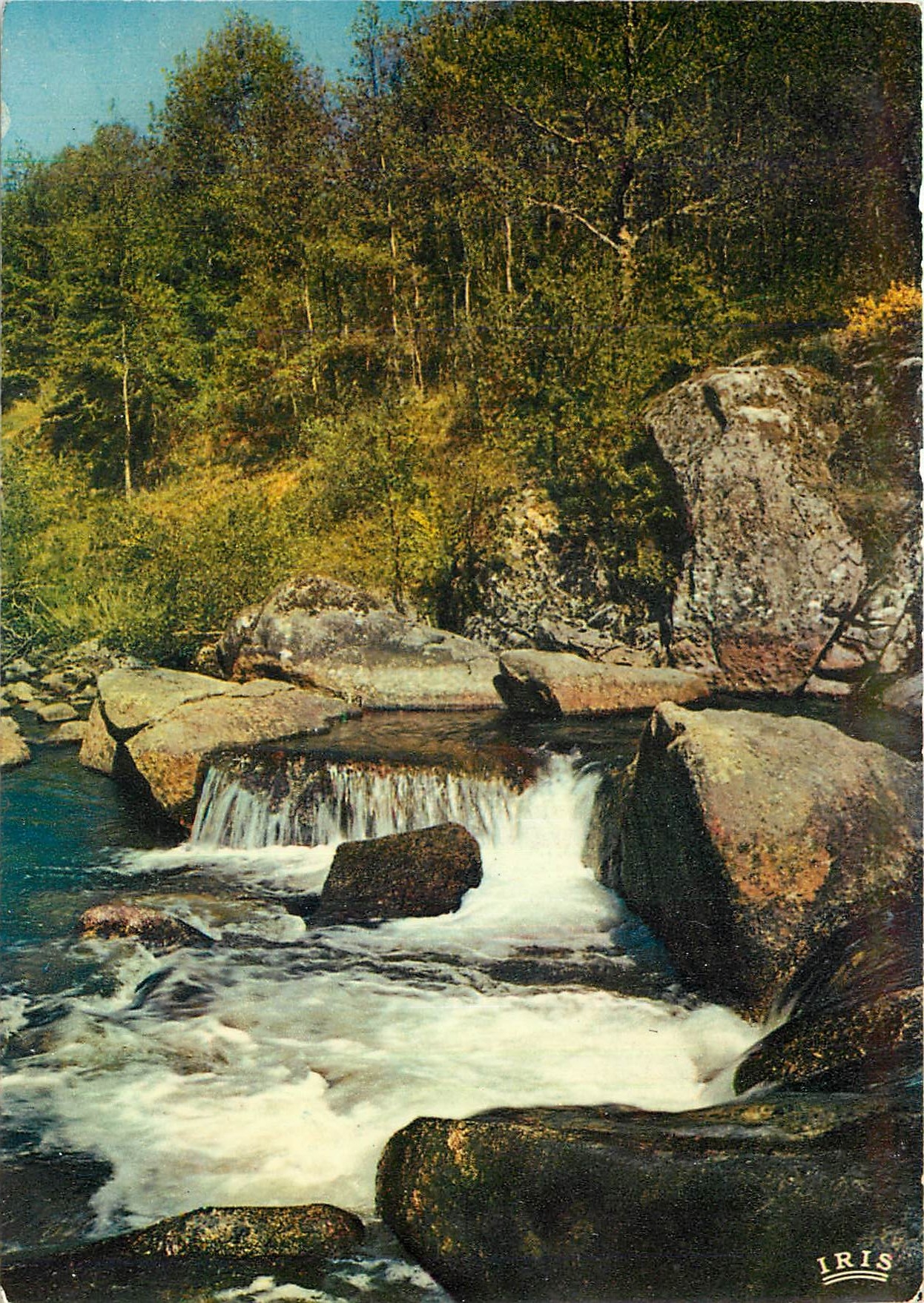 CPM Le Limousin Touristique la vallee de la vienne