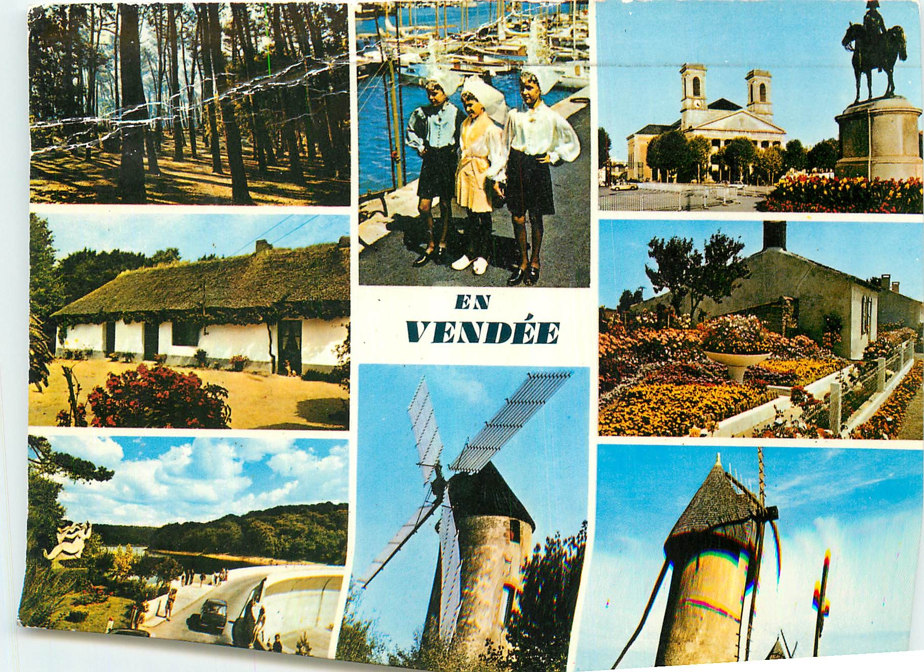 CPM Vendee Touristique Un sous bois une bourrinne