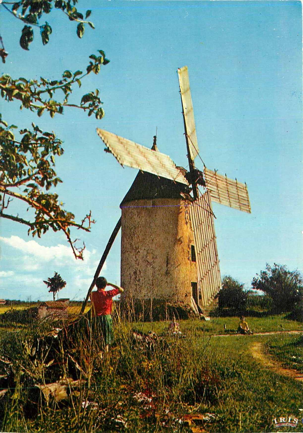 CPM Bocage Vendeen Moulin de Ste Catherine (15e s)