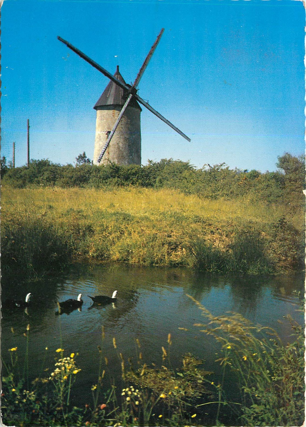 CPM La Vendee Pittoresqsue Un vieux Moulin