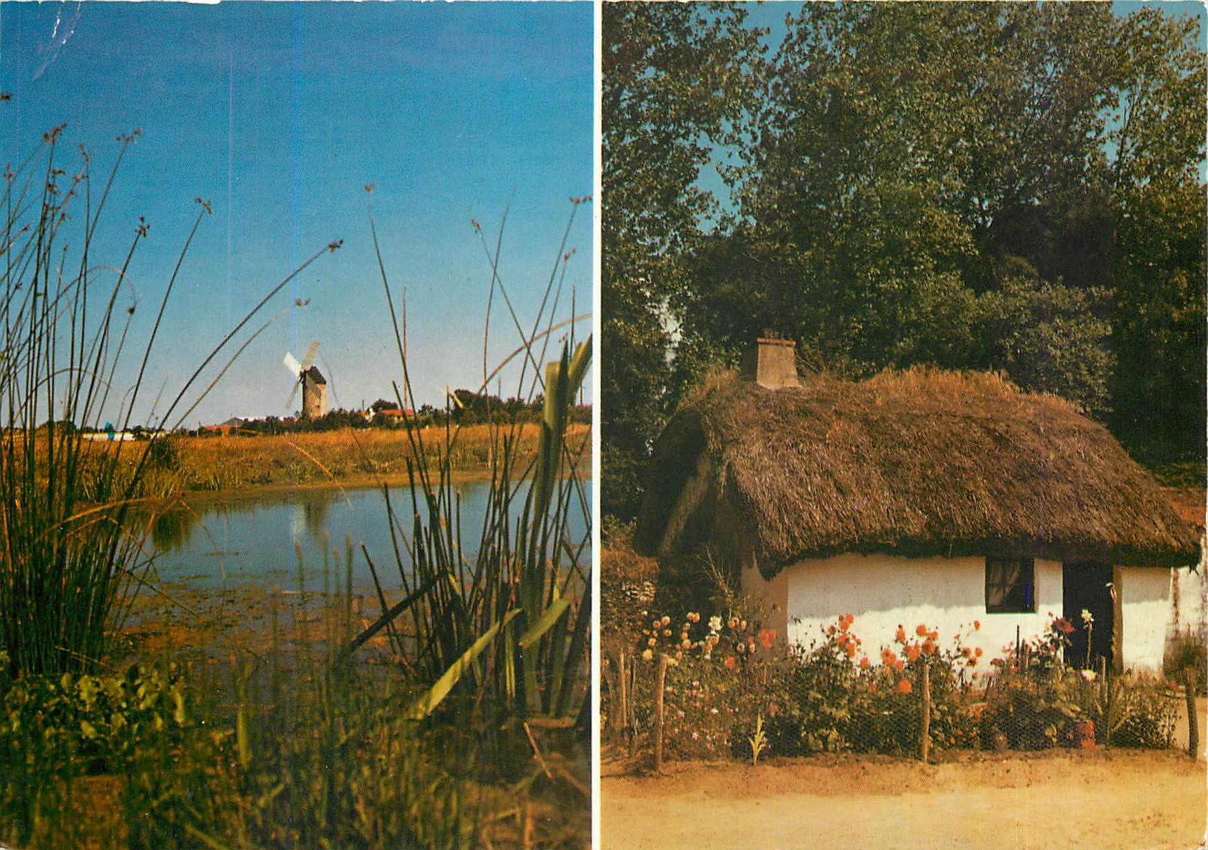 CPM La Vendee Touristique La Marais Moulin et Bourrine