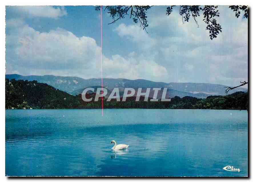 CPM Lac de la Bonde (Vaucluse) sur le lac de la Bonde le Cygne au fond le massif de Luberon