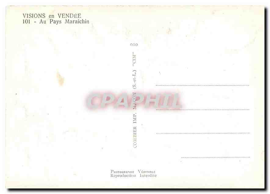 CPM Visons en Vendee au pays Maraichin Ane Mule  — Back
