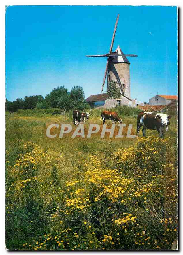 CPM La Vendee Pittoresque Un vieux Moulin