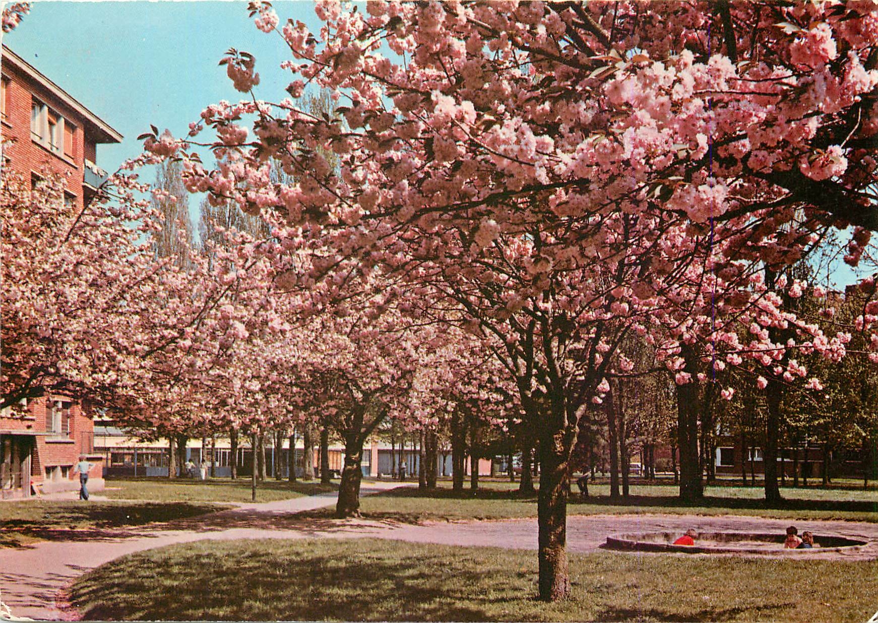 CPM Clamart Les Cerisiers du Japon