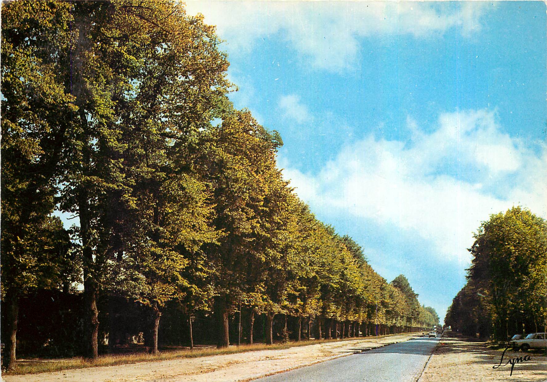 CPM Meudon Bellevue (Hauts de Seine) L'Allee du Chateau