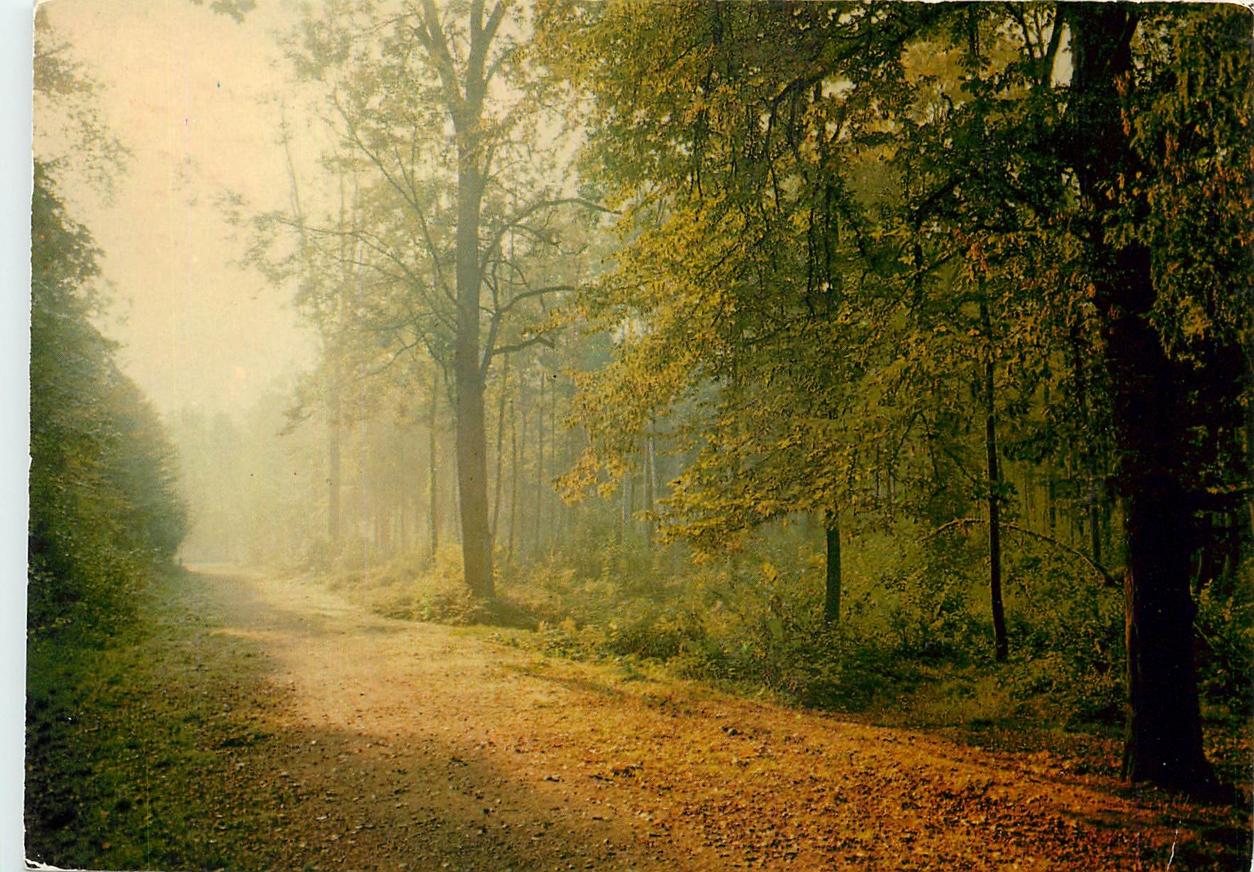 CPM Images de France Foret de Meudon Clamart
