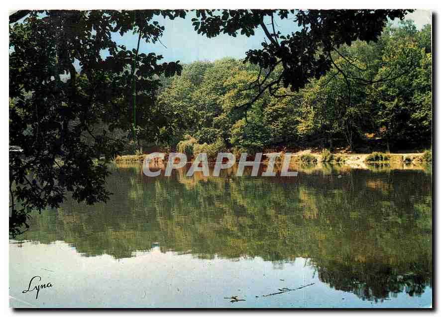 CPM Meudon (Hauts de Seine) L'Etang Villebon