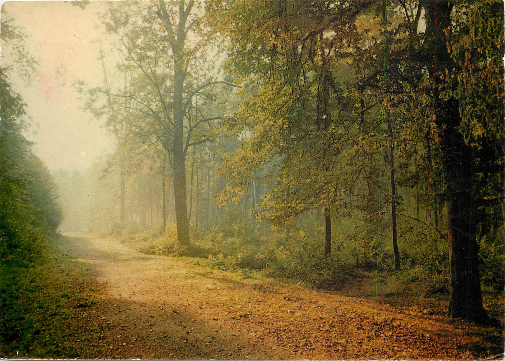 CPM Images de France Foret de Meudon Clamart