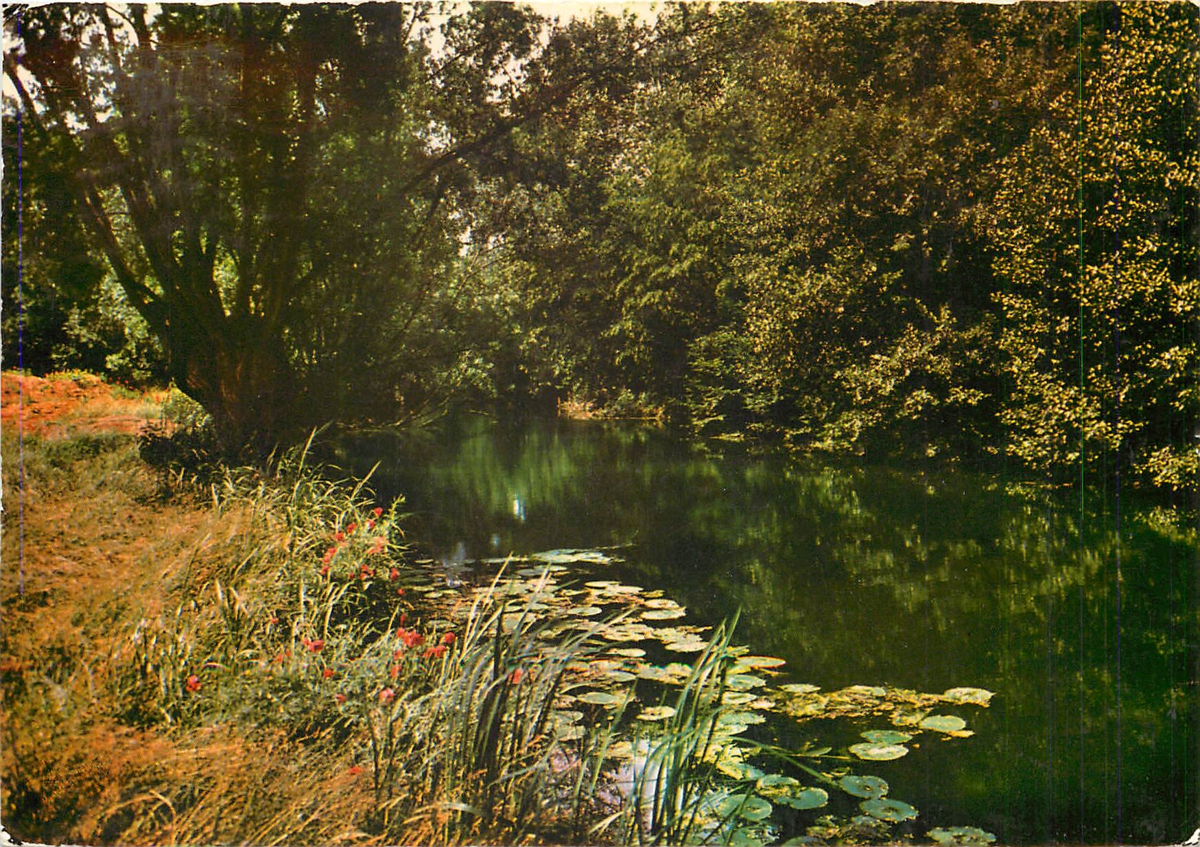 CPM Images de France L'Yerres