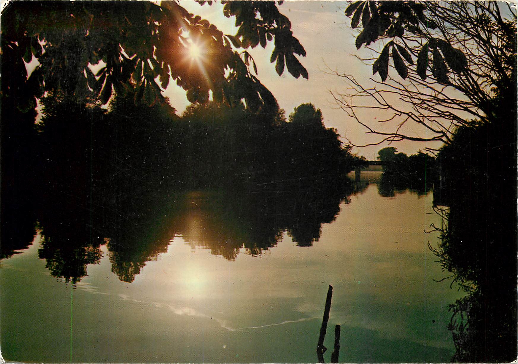 CPM La Marne Coucher de soleil sur les bords de Marne