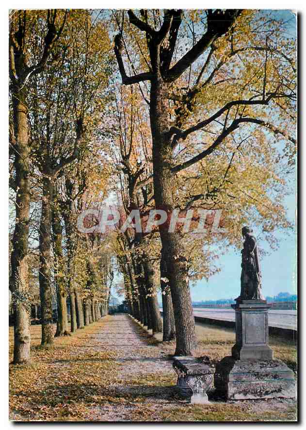 CPM Boissy St Leger (Val de Marne) En Foret de Boissy Poesie d'Automne