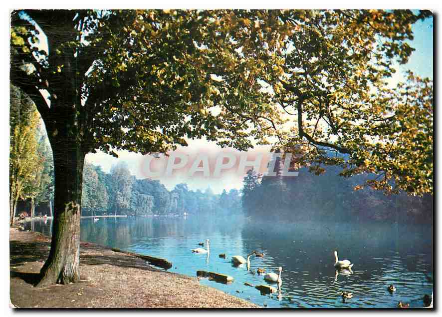CPM Images de France Promenade au Bois de Vincennes