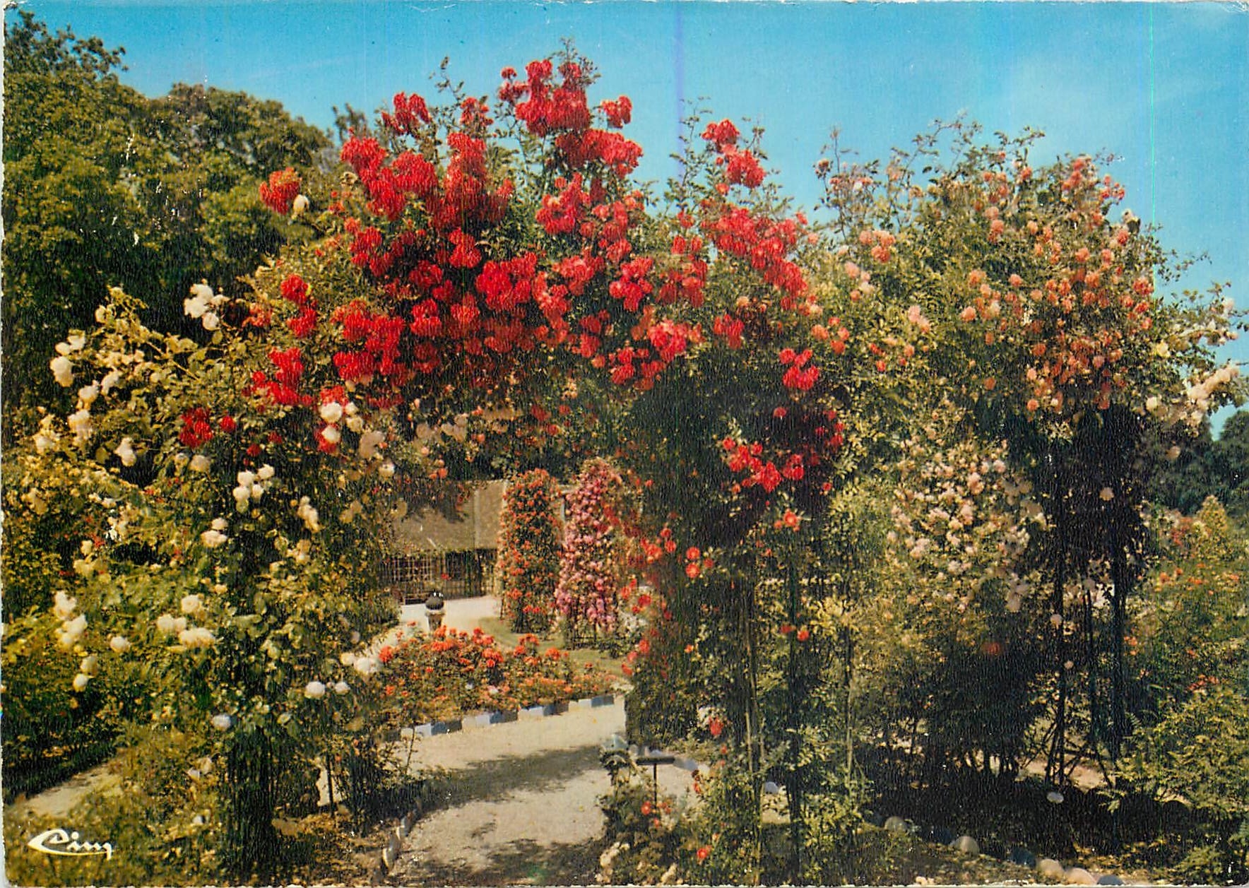 CPM L'Hay les Roses (Val de Marne) La Roseraie