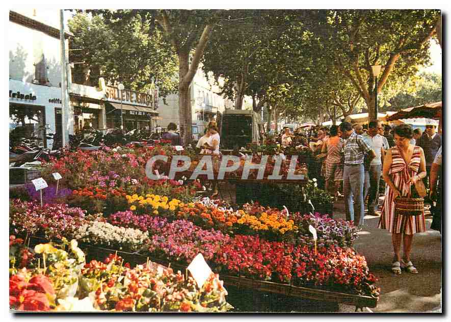 CPM Le Comtat Venaissin Carpentras (Vaucluse) Le Marche aux Fleurs
