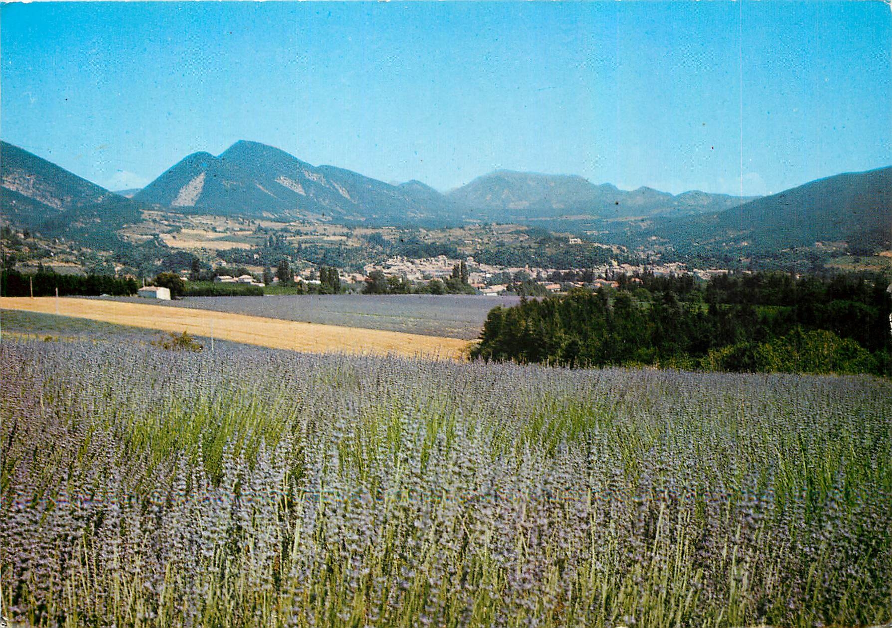 CPM Dieulefit (Drome) Vue generale et ses Champs de Lavande