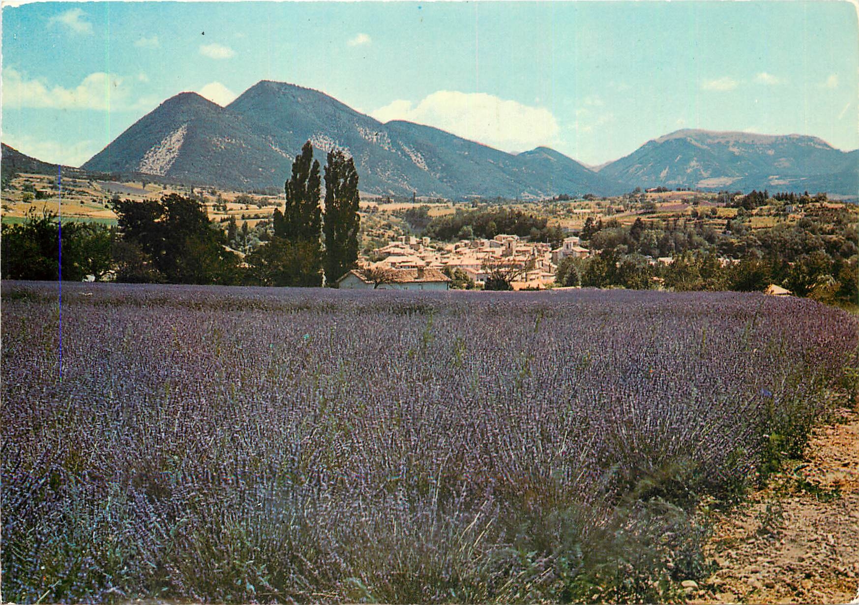 CPM Paysages de Provence Chamlps de lanvande a Dieulefit (Drome)