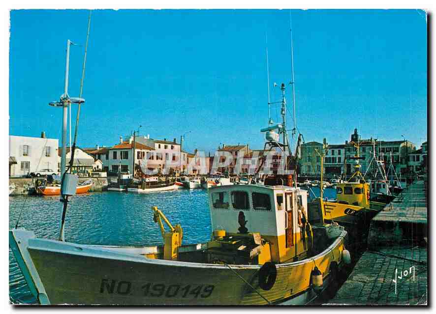 CPM Couleurs et Lumiere de France La Blanche Re La Flotte en Re (Ch Mme) Le Port