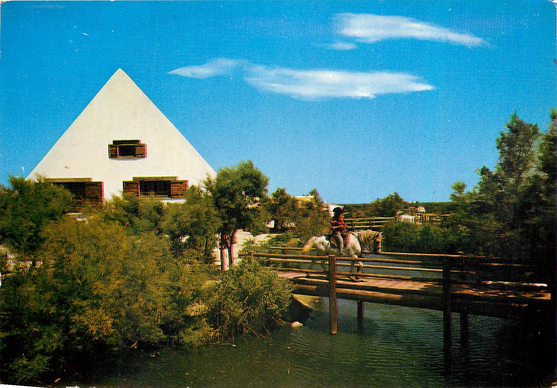 CPM Camargue Lumieres et tradition Maison de Gardians