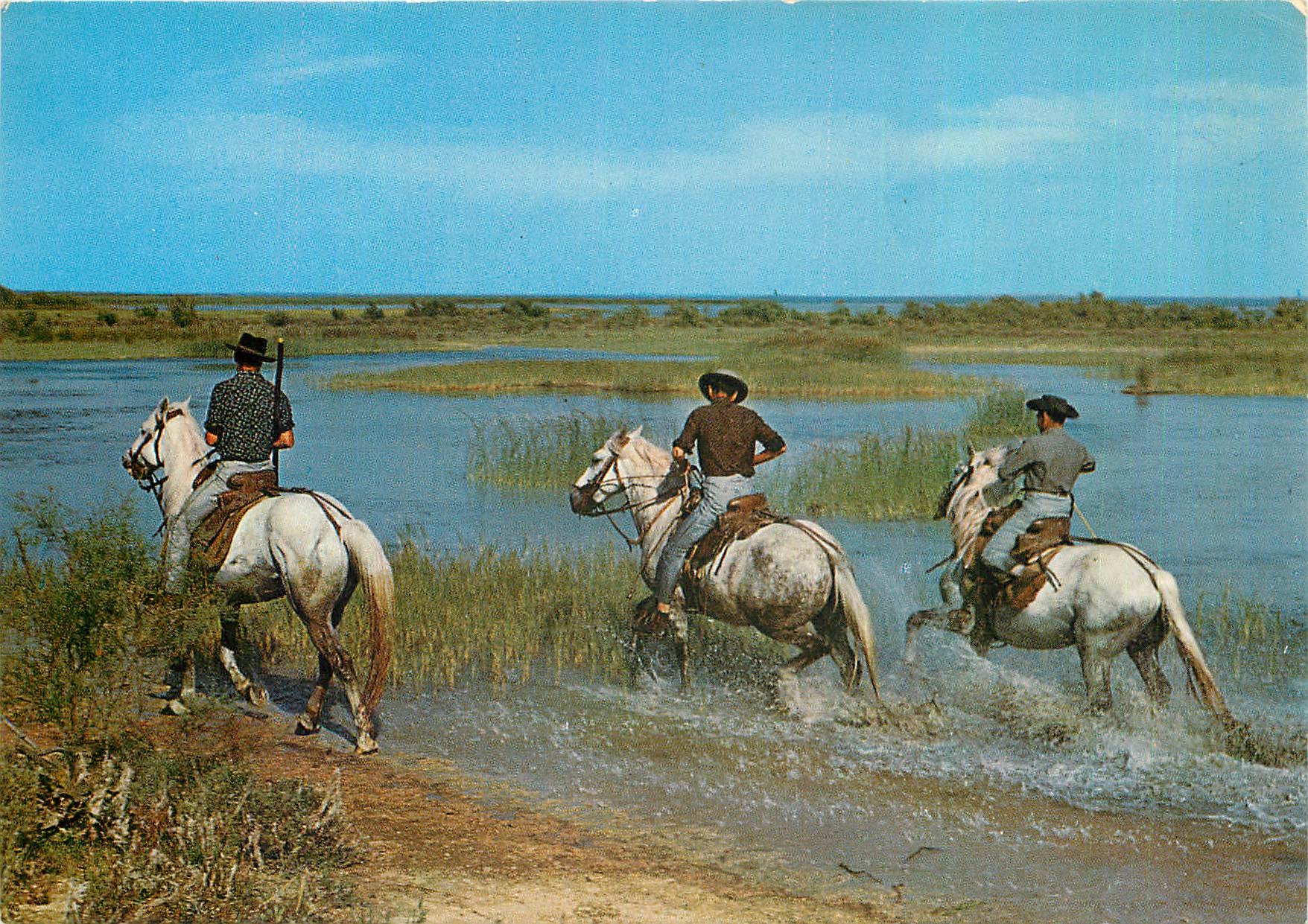 Camargue — Camargue-Reiter an den Ufern des Vaccarès — Méjanes