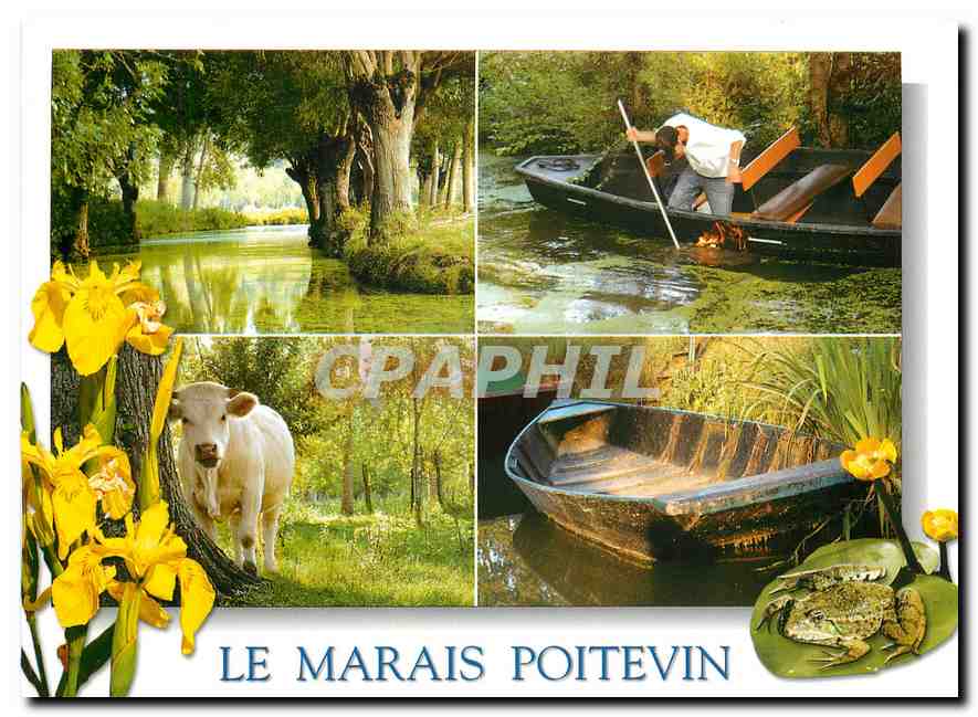 CPM Le Marais Poitevin (Deux Sevres) Sur 35000 ha de terres inondables