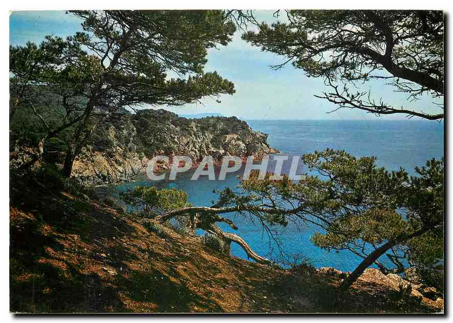 CPM Mediterranee aux rivages sans nuage Calanque aux reflets d'or