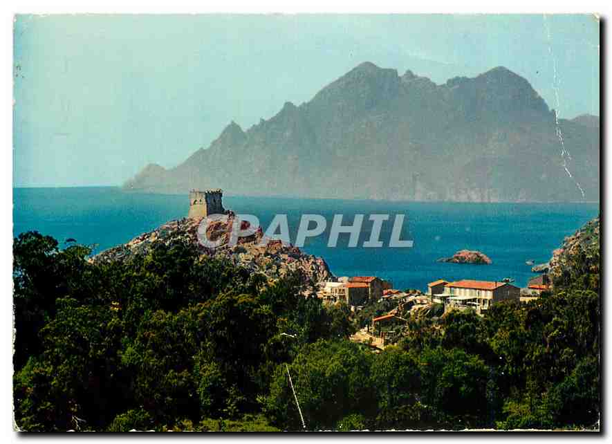 CPM Couleurs et Lumiere de France La Corse Porto (Corse) La Tour Genoise et le Golfe