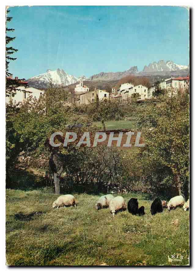 CPM Charmes et Couleurs de la Corse Calacussia (Corse) Vue partielle au fond la Pagilia arba et les 