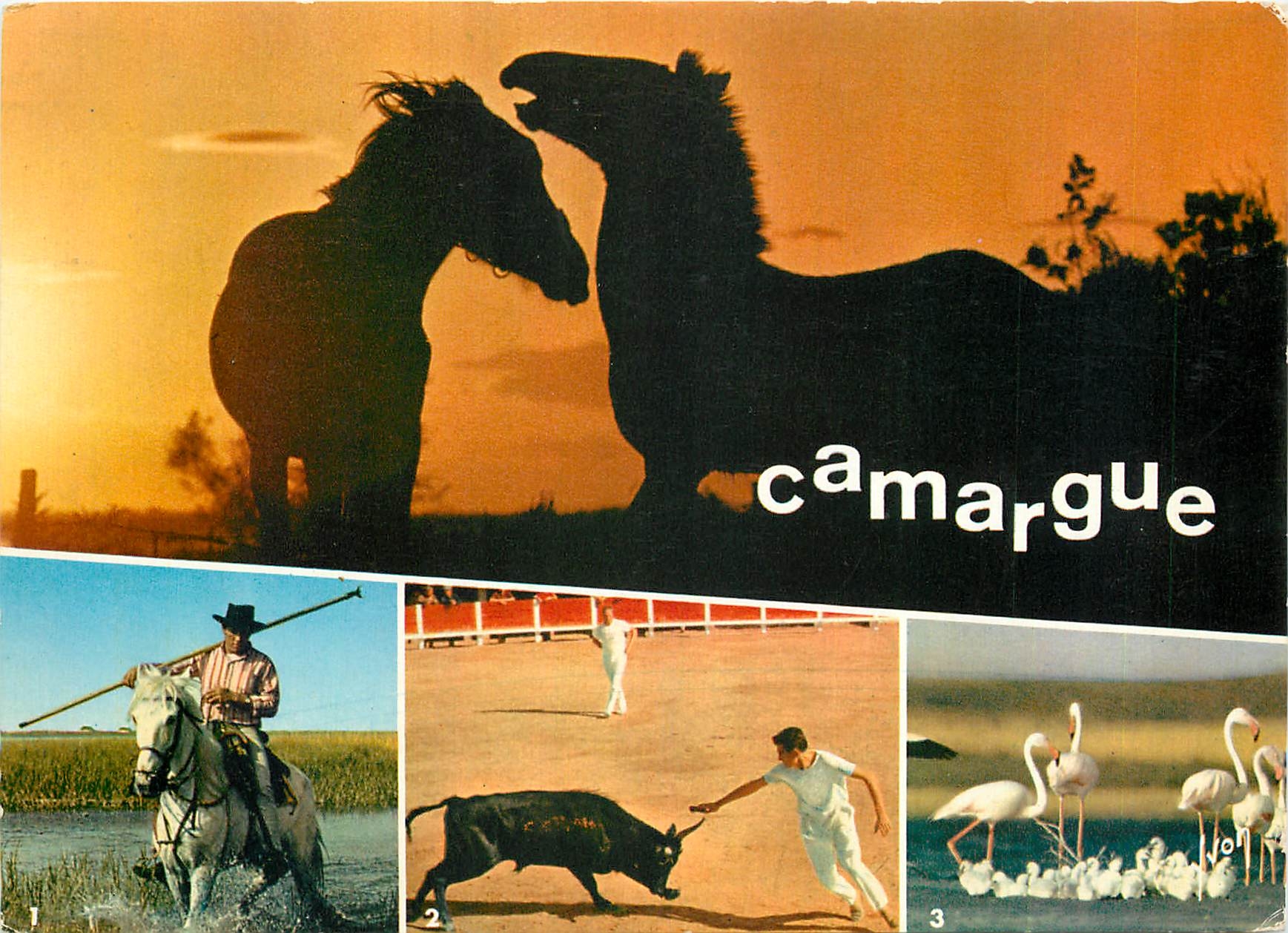 Camargue — Silhouettes de chevaux et scènes locales — Éditions Jean-Jaurès
