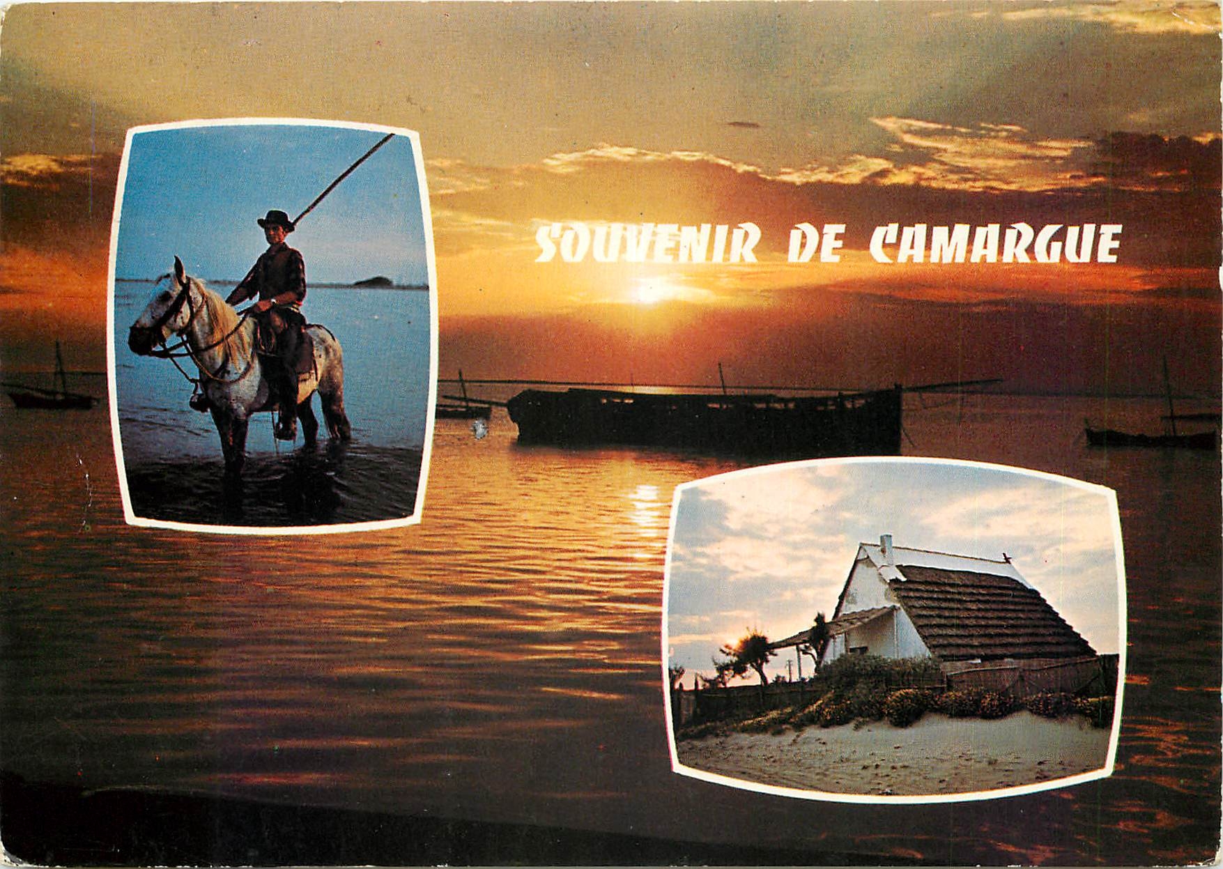 CPM En Camargue (B du Rh) Souvenir